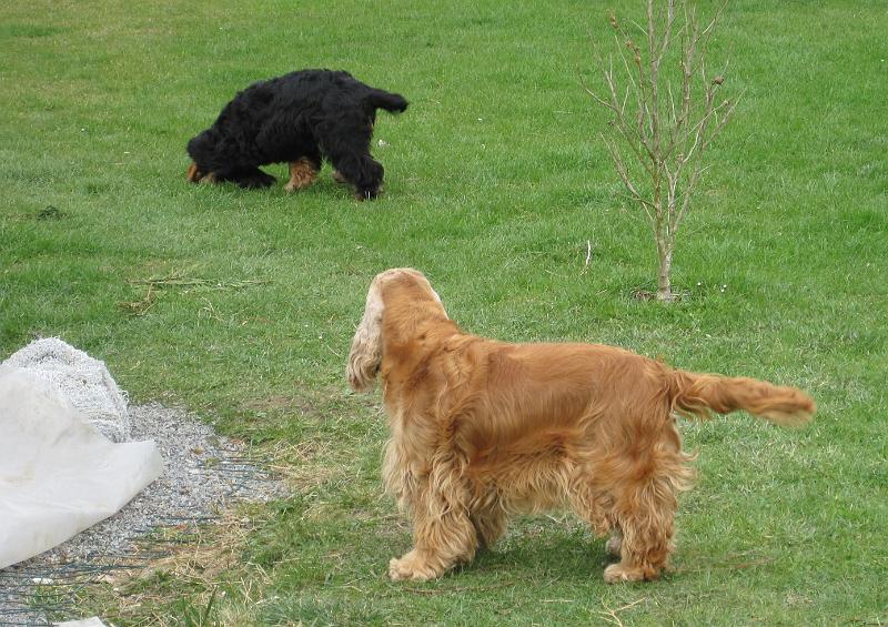 m Arny-10.4.2010.JPG